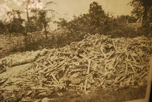 Unbescheibliches fand auf den Killing Fields statt. Berge von Knochen fanden die Vietnamesen damals vor. Noch heute sind die Reste nicht geborgen.