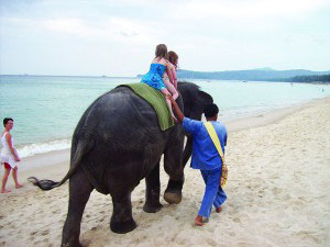 Kindergeburtstag am Strand - Vollstress für die Babyelefanten