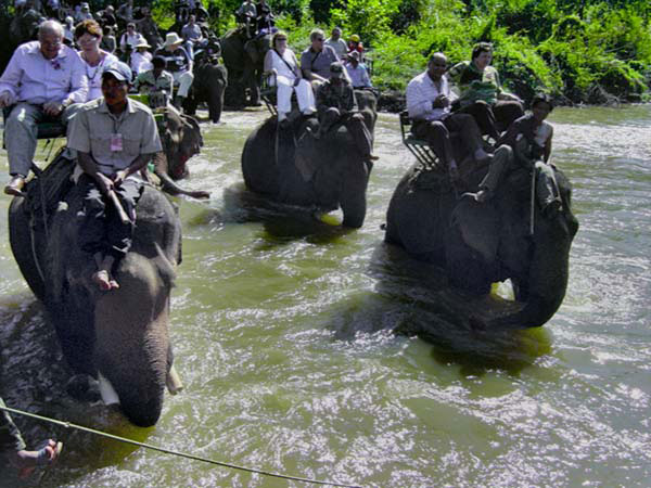 elefant Durchquerung des Flusses auf Elefanten