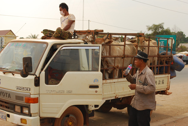 Transporte ohne EU-Norm