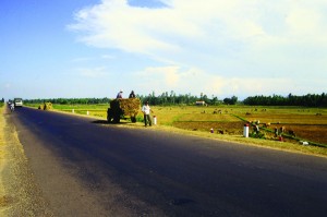 Kilometerlang an den Reisfeldern vorbei