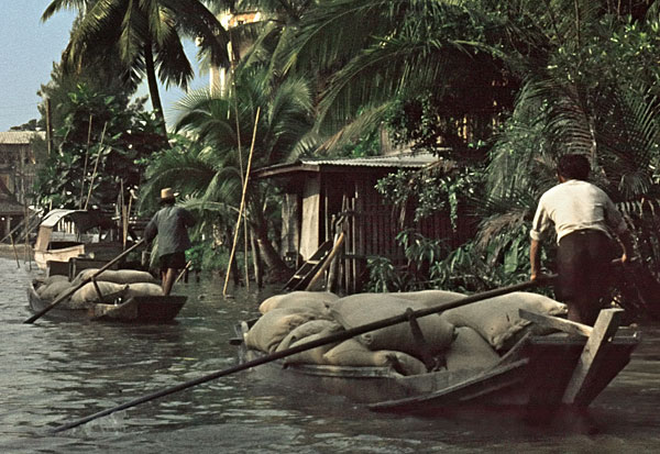 1966. Transport von vollen Säcken in Booten 