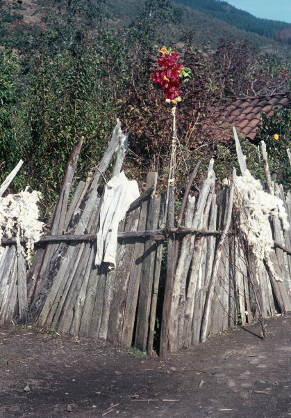 Mapuchen Indios Chile Südamerika Lateinamerika Im Araukanerland das streng abgeschirmte Haus der Machi.