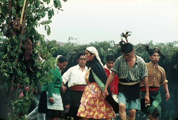 Mapuchen Indios Chile Südamerika Lateinamerika Ngillatun Alle Dorfbewohner haben sich geschmückt und tanzen um den Canelobaum.