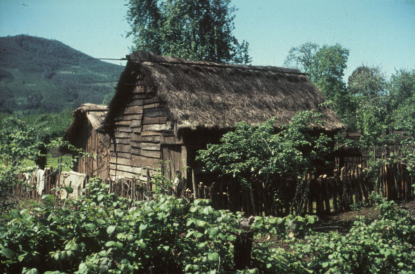 Mapuche. Wohnstätte: Ruca, rundlich oder rechteckig, mit Binsen gedecktes Haus einer Mapuchefamilie