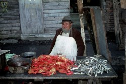 1968 – Chile. Die Fischer von Talcahuano
