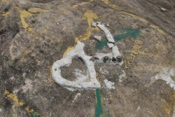 Bonn und Berlin in einer kambodschanischen Bar