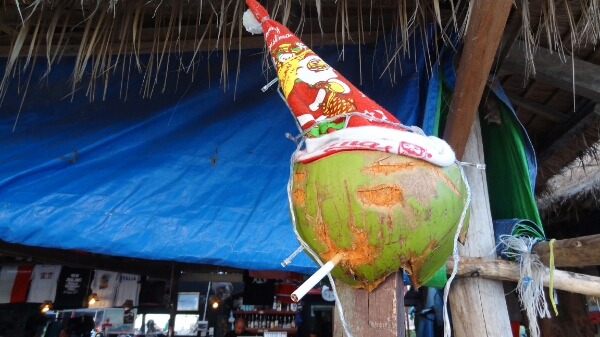 Kokosnuss mit Weihnachtsmütze