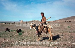 Im Reisebus durch Afghanistan