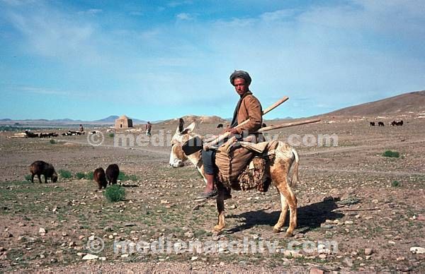 1968. Afghanistan. Mann auf einem Esel